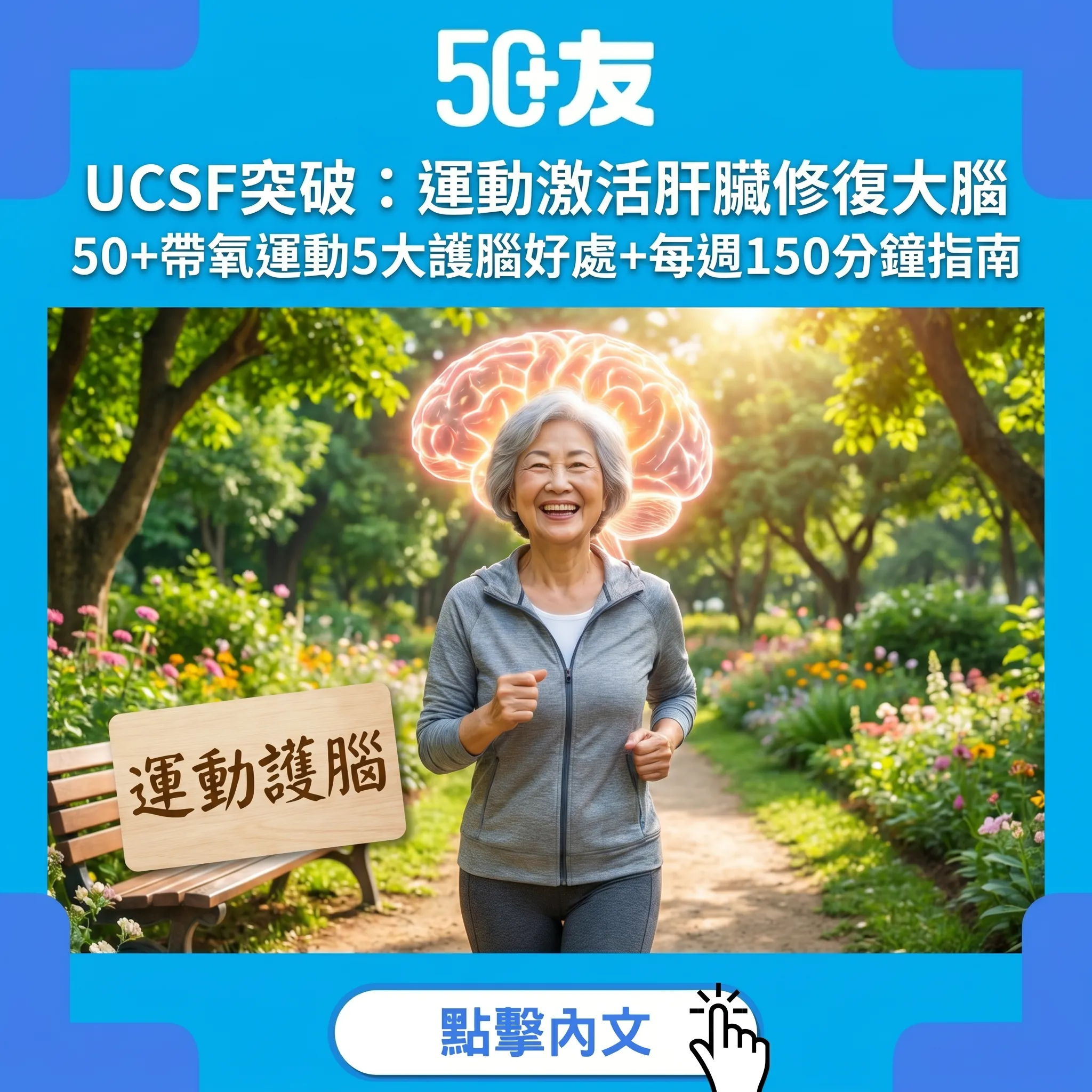 UCSF 2026突破研究：運動激活肝臟修復大腦｜50+帶氧運動5大護腦好處+每週150分鐘指南