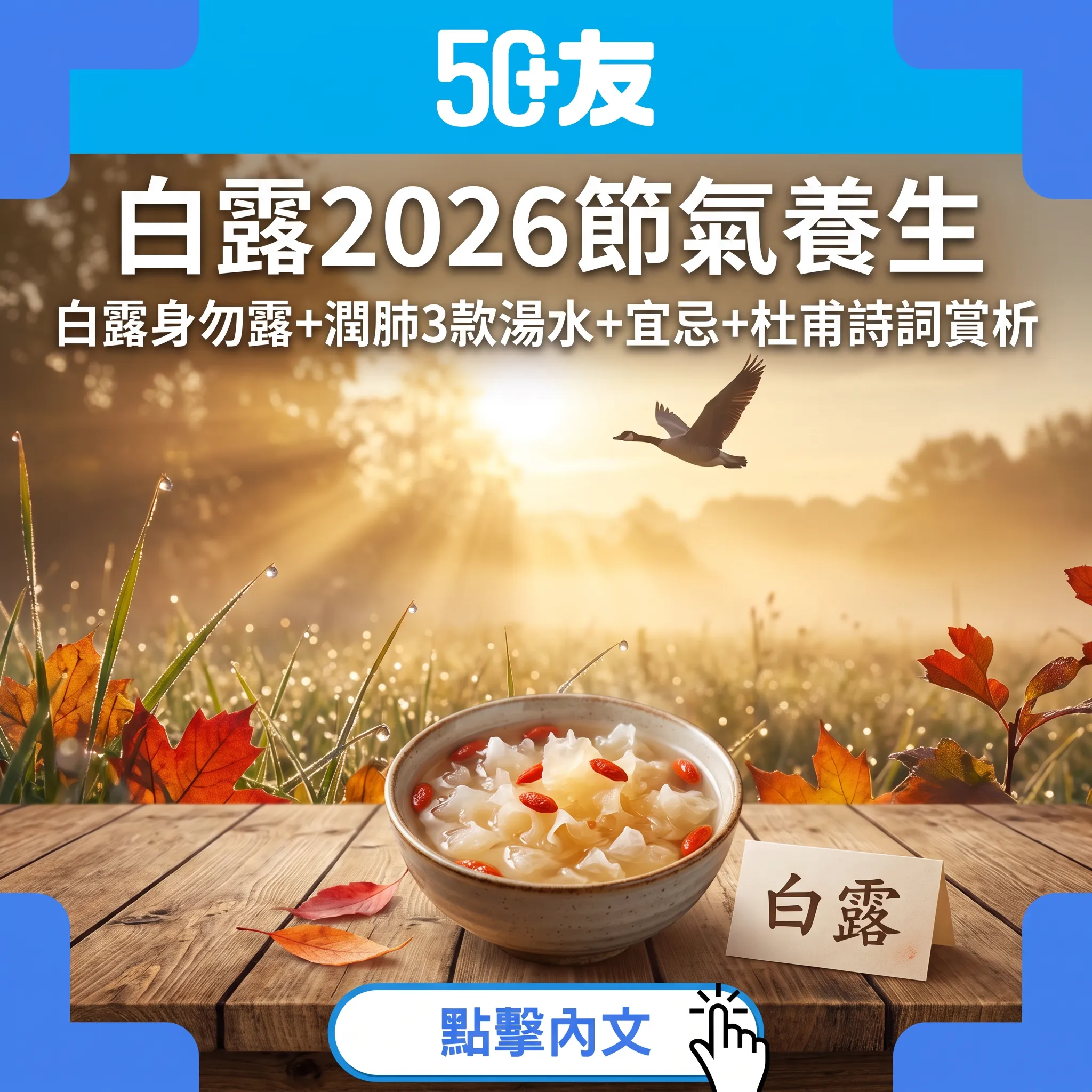 【廿四節氣】白露：露從今夜白，月是故鄉明——潤肺防燥+宜忌+杜甫詩詞賞析