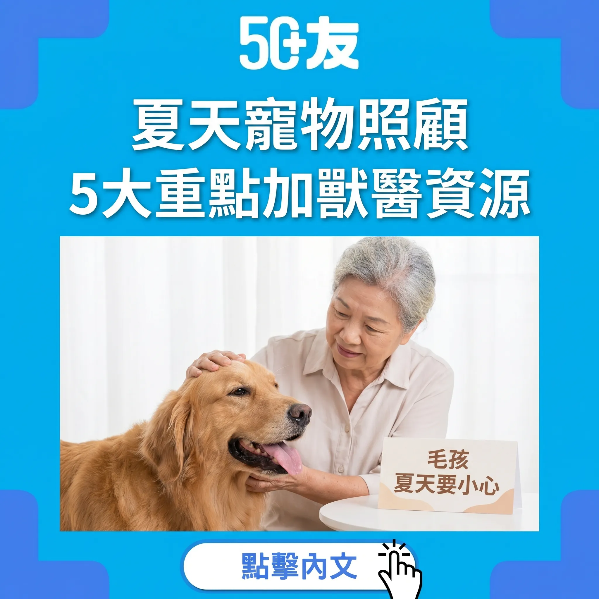 50+夏天寵物照顧5大重點！中暑加皮膚加獸醫