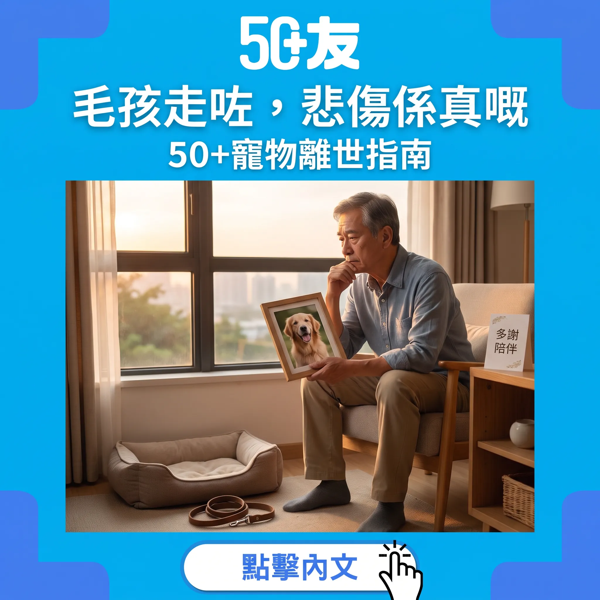毛孩離世點面對?50+寵物喪失悲傷指南