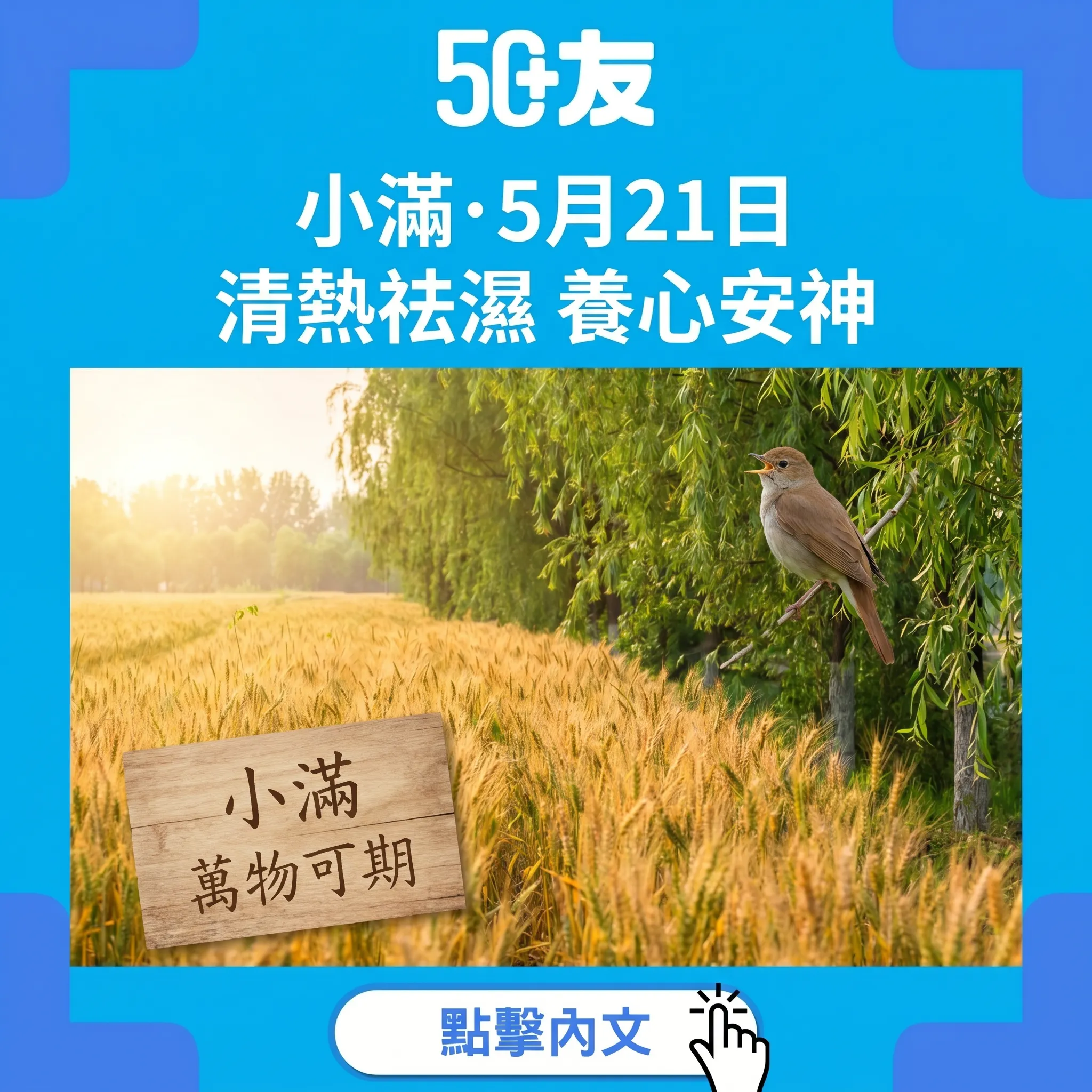 廿四節氣宜忌｜小滿5月21日！清熱祛濕養心安神加食療推薦
