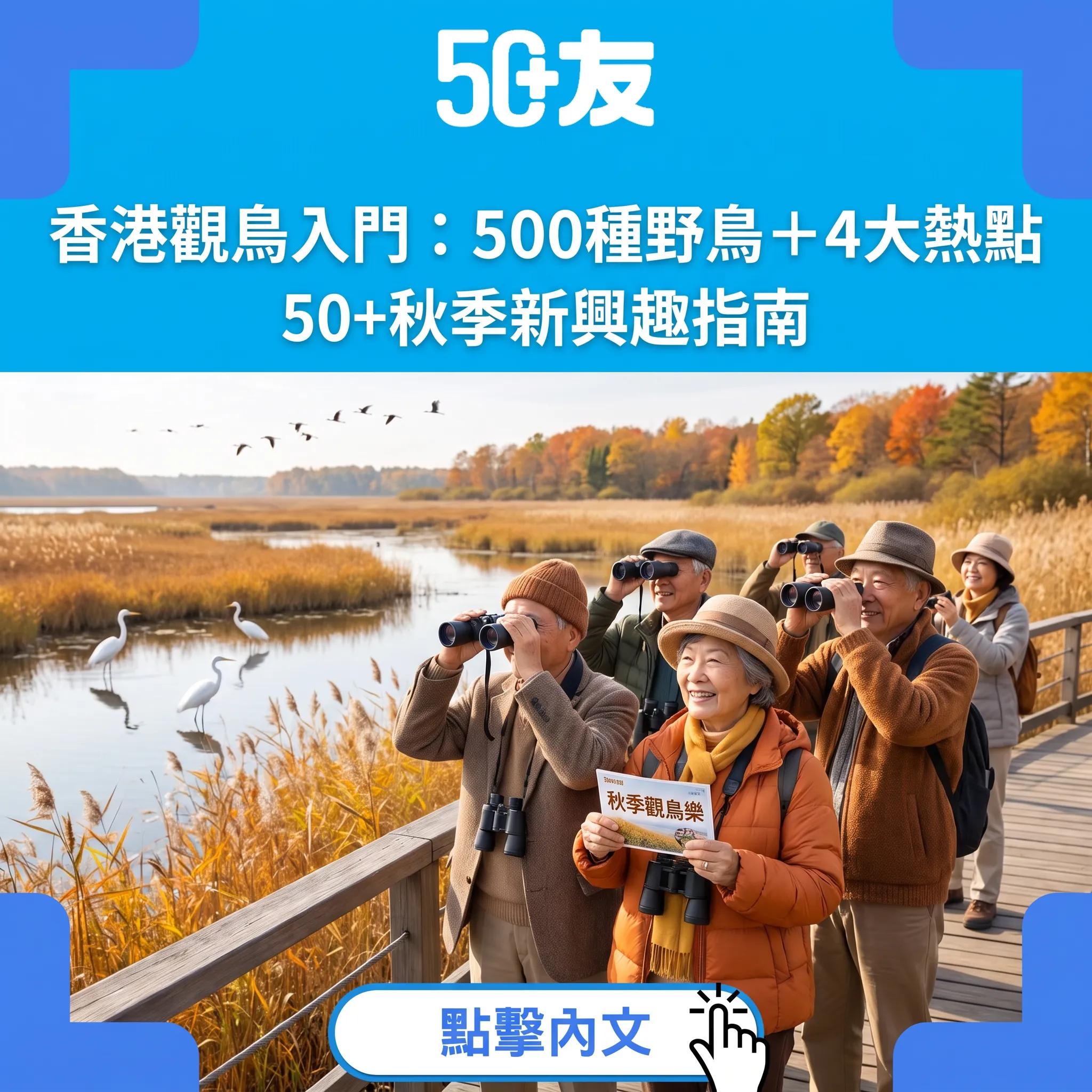 香港觀鳥入門：500種野鳥、4大易去熱點與裝備清單——50+秋季新興趣指南