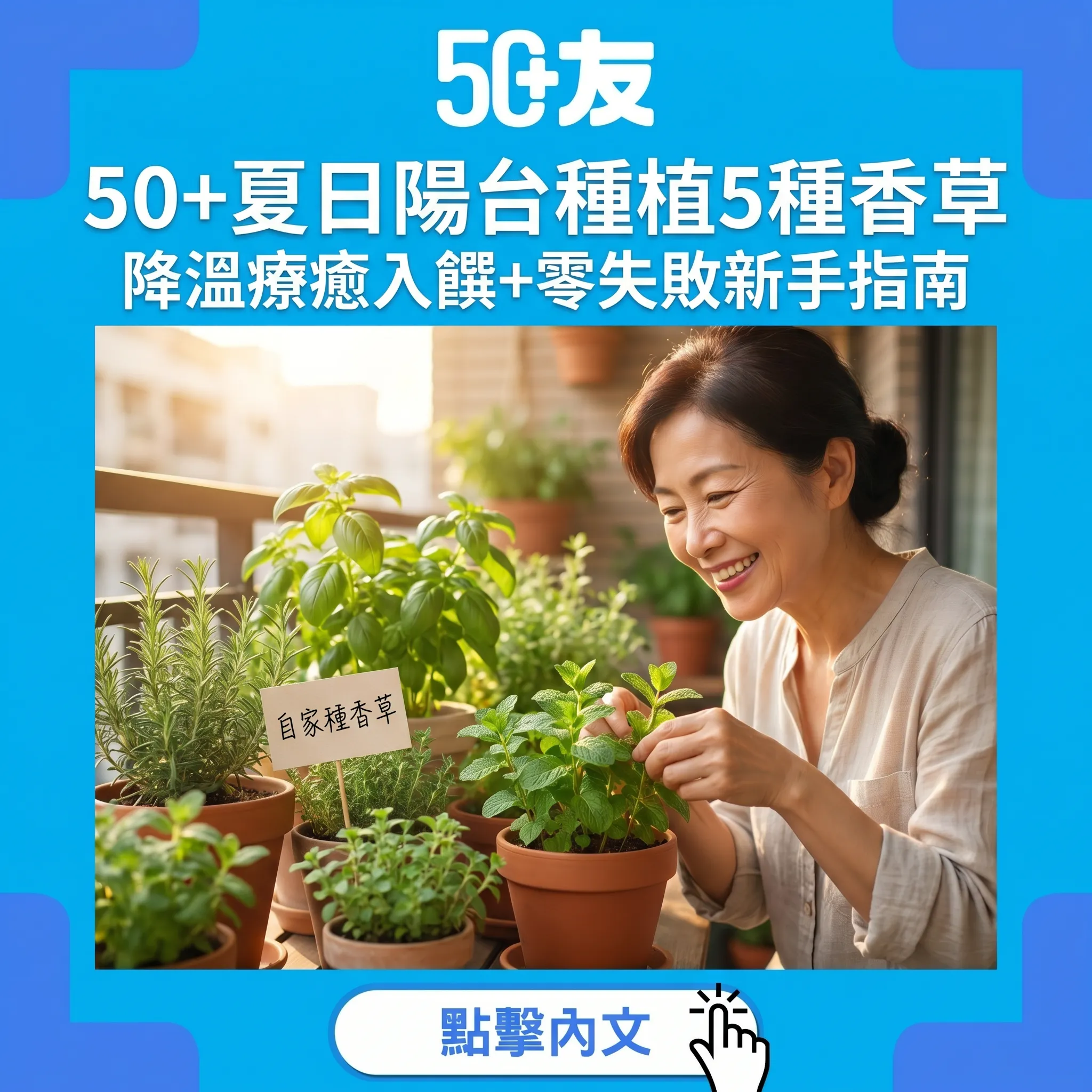 50+夏日陽台種植5種香草