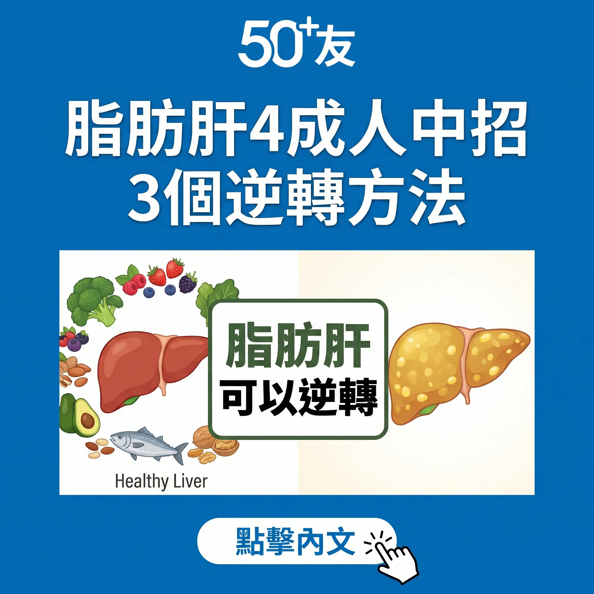 50+脂肪肝4成人中招！3個逆轉方法加香港檢查資源