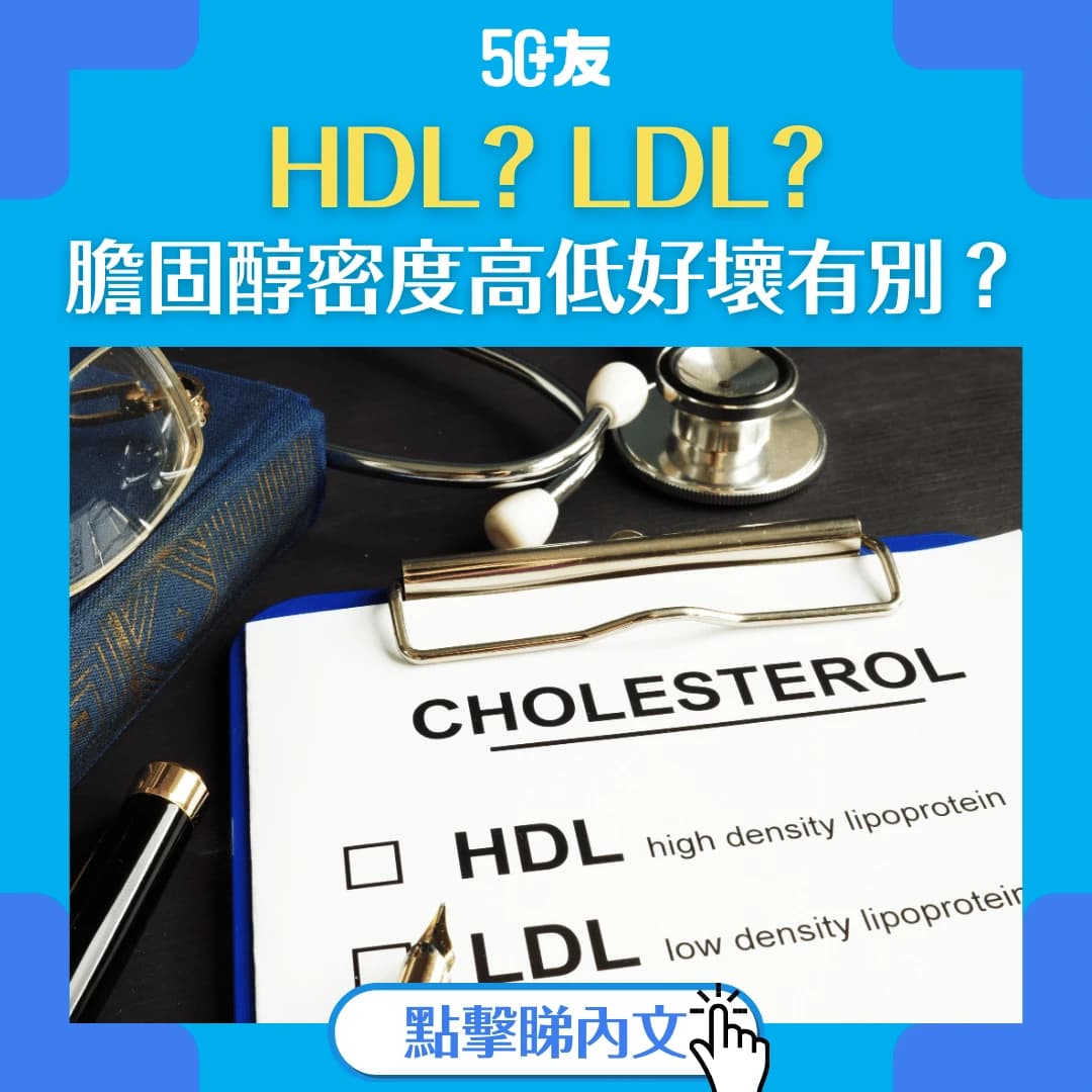 【膽固醇密度高低好壞有別？】簡單幾招，教你飲食如何影響膽固醇正常值！