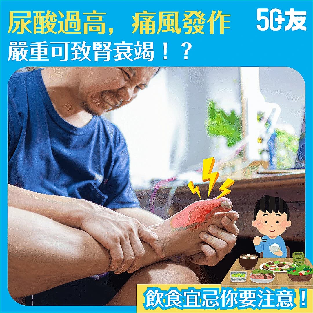 【尿酸症狀】尿酸過高痛風怎麼辦？嚴重可致腎衰竭！從根源了解原因、症狀和飲食禁忌！
