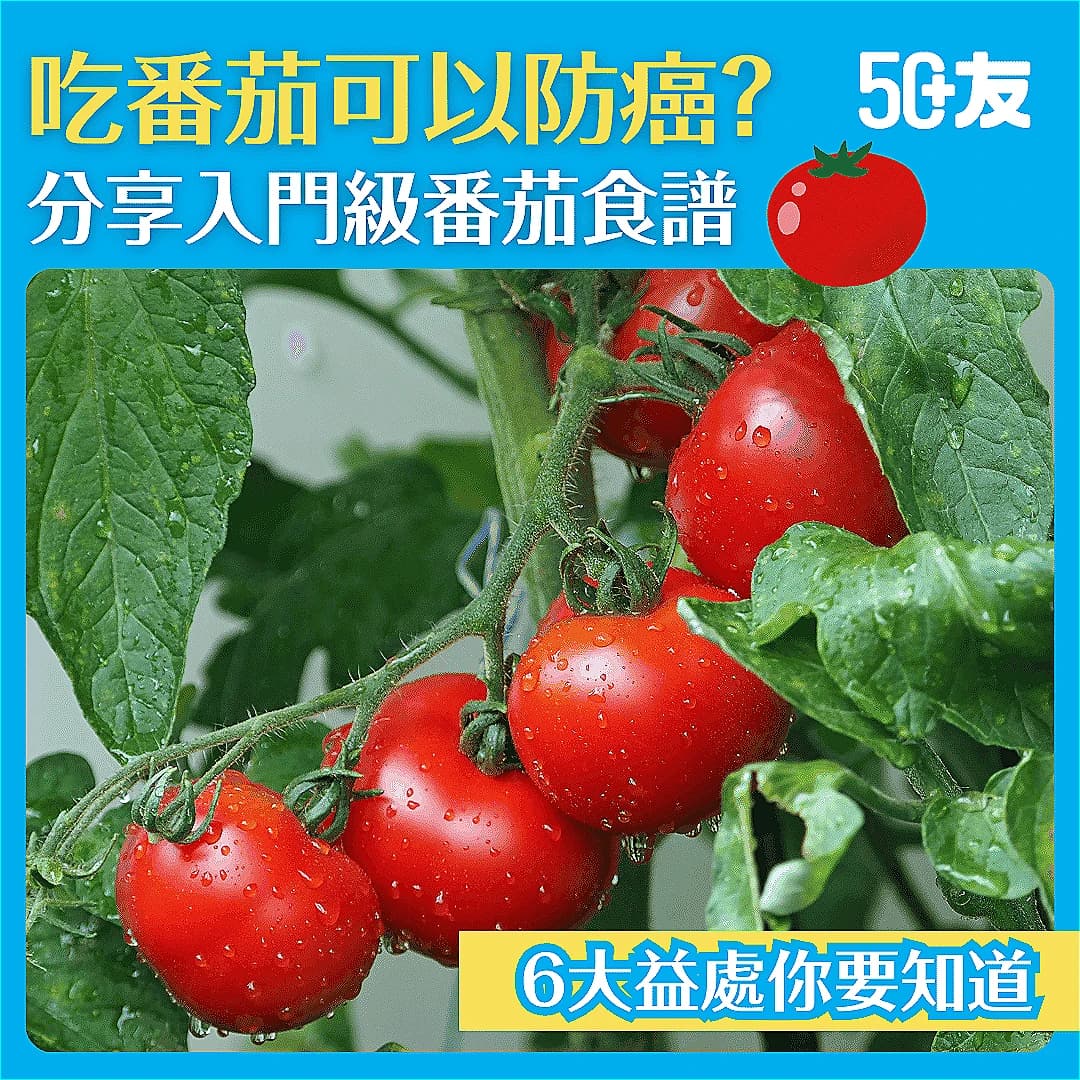 【超級蔬菜】番茄可防癌？營養價值超高！入門級番茄食譜