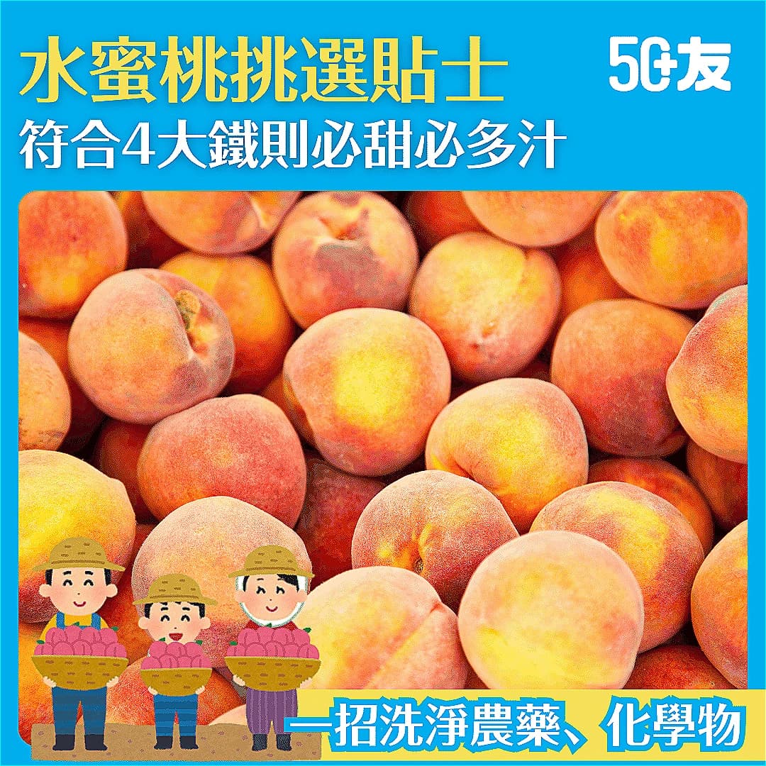 【揀水蜜桃貼士】香甜多汁水蜜桃點樣揀？4大貼士教你輕鬆選購！還有營養資訊同清洗秘訣！