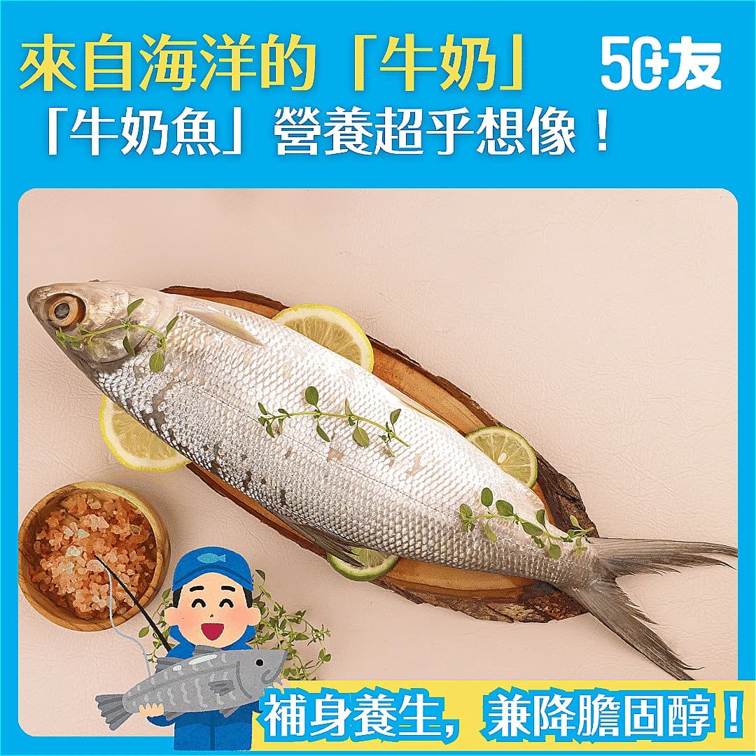 【你聽過「牛奶魚」嗎？】可以補身養生降膽固醇！