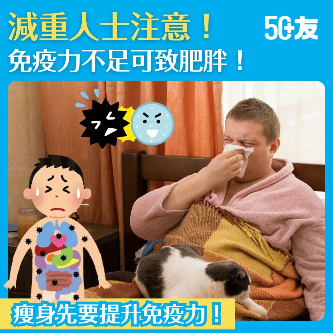 【免疫力致肥】免疫力低可致肥胖？兩者關係及保健食品建議