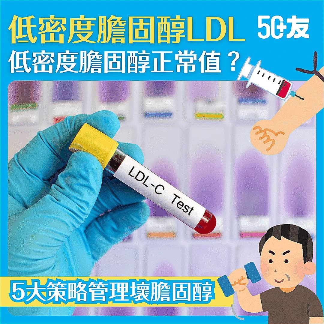 【低密度膽固醇LDL】低密度膽固醇正常值？5大策略管理壞膽固醇