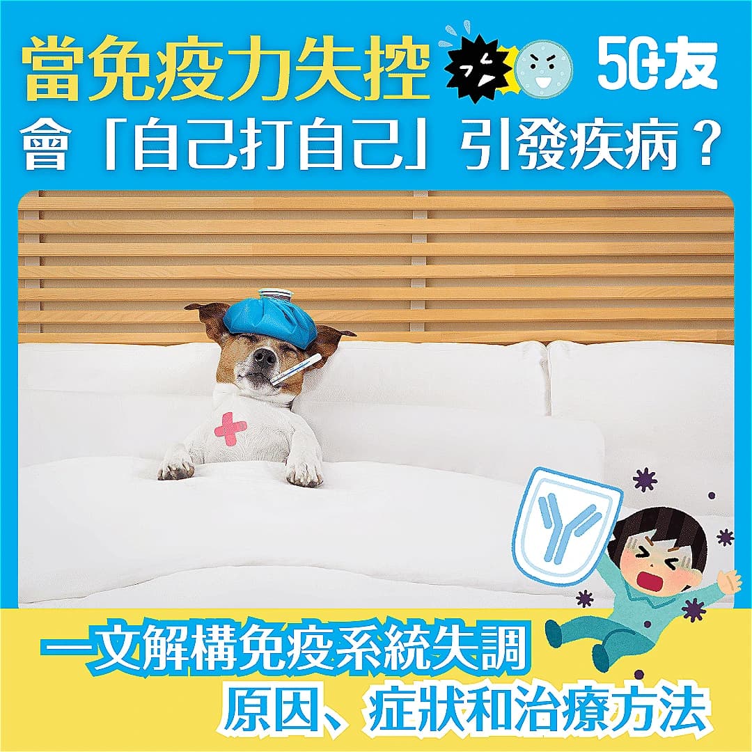 【免疫系統失調】當免疫力失控，會「自己打自己」引發疾病？