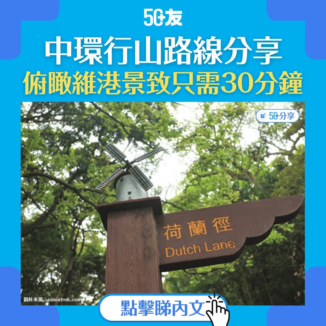 【中環行山】30分鐘穿越半山荷蘭徑 叢林中俯瞰維港景致