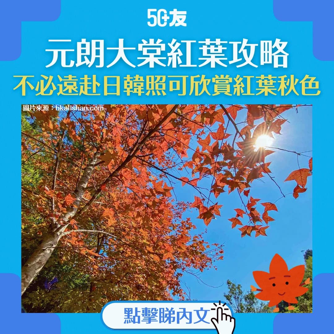 【元朗大棠紅葉】不必遠赴日韓！元朗大棠賞紅葉路線推薦