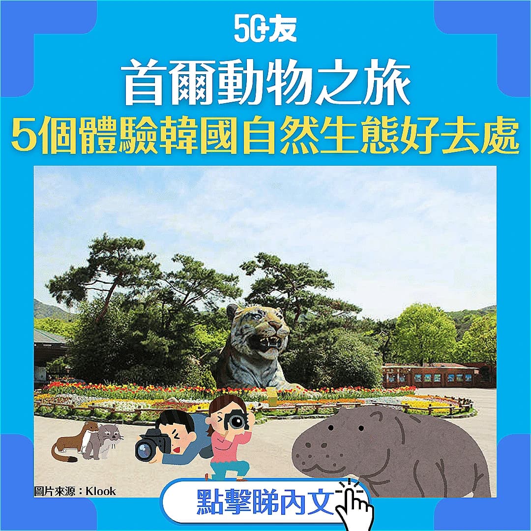 【暢遊韓國】首爾5大動物相關景點 讓你逛／玩／吃到飽（附交通指南）