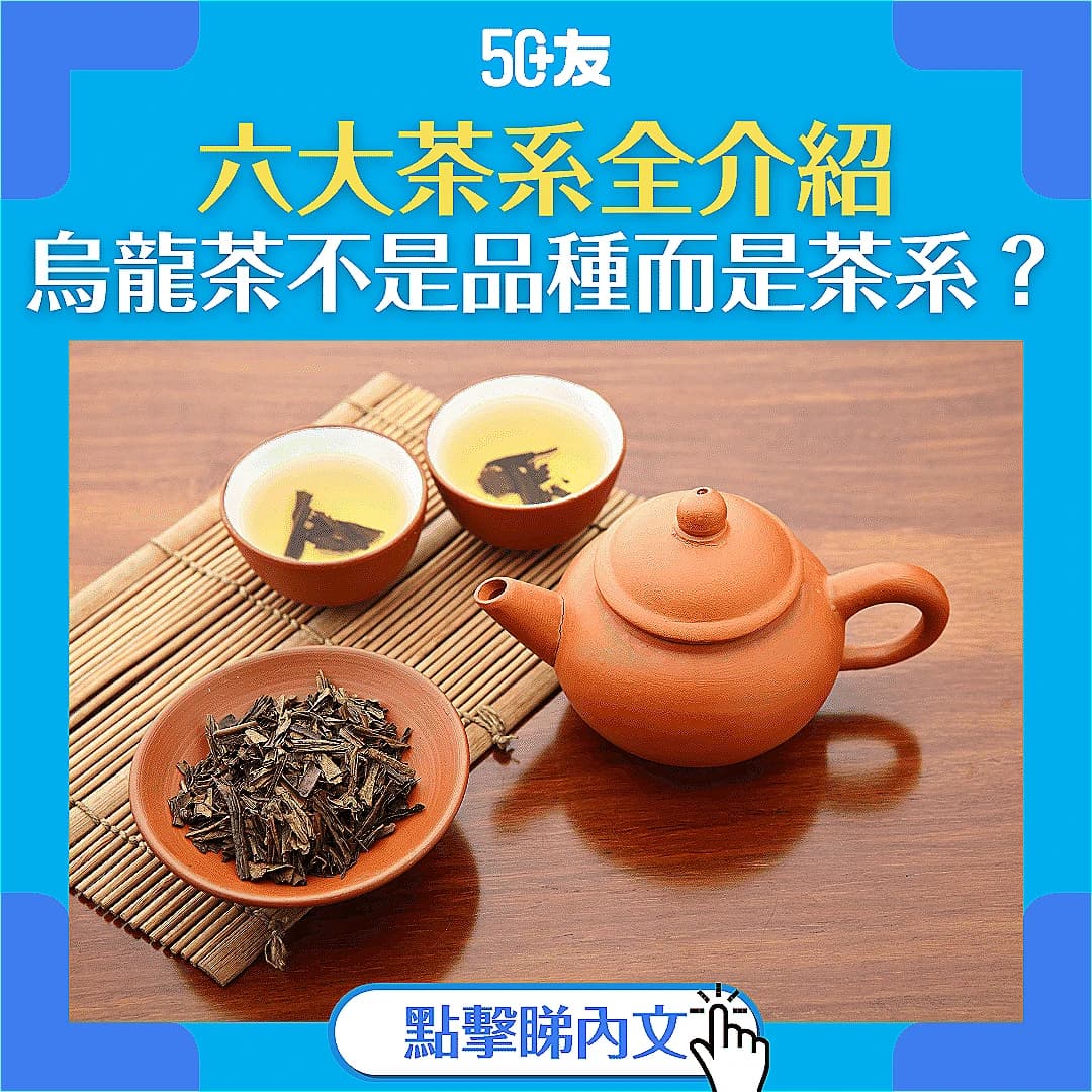 【六大茶系細說】從清新綠茶到醇厚黑茶，尋找你的專屬茶香