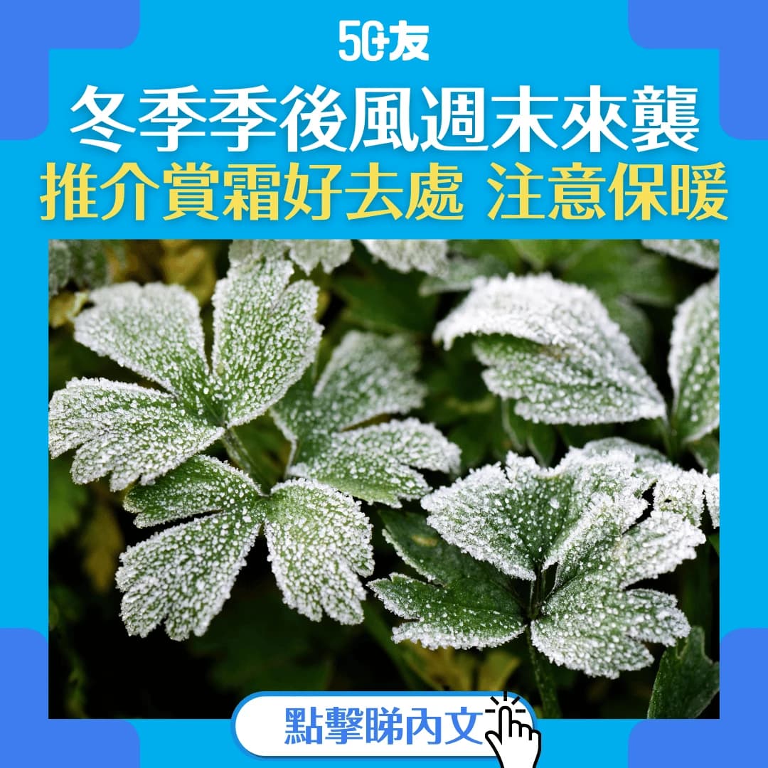 【賞霜好去處】多冷才會結霜？結霜何時出現？哪裡觀賞結霜最安全？