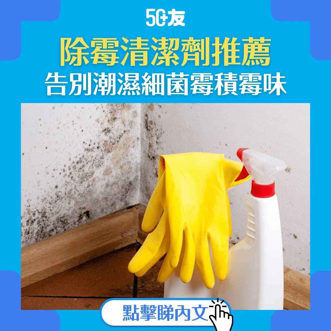 【浴室除霉推薦】5款高效除霉清潔用品比較與使用建議