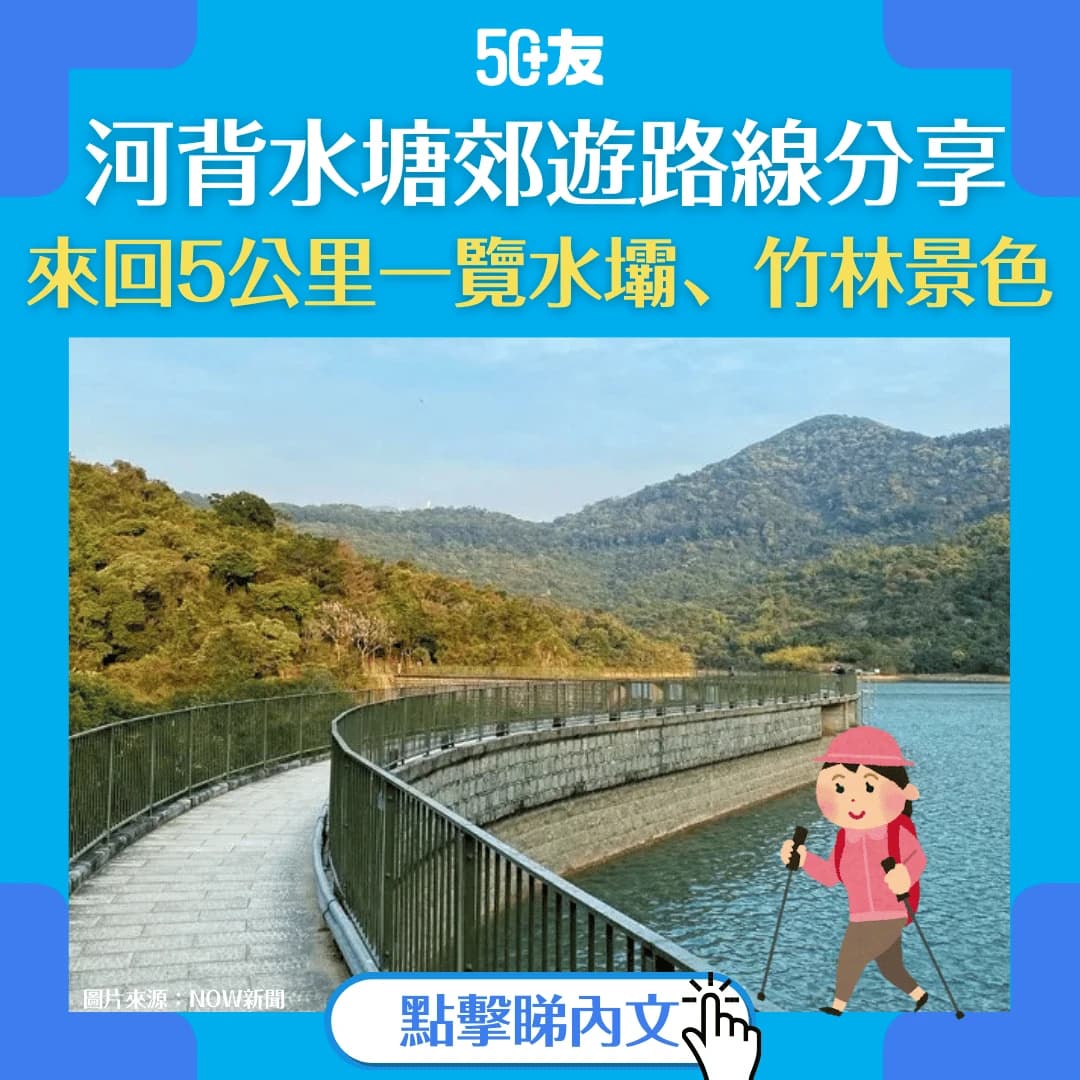 【河背水塘郊遊徑】交通指南 + 路線推介 + 1.5小時輕鬆暢遊