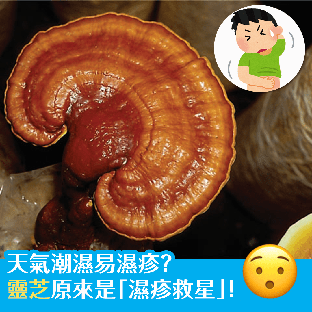 天氣潮濕易濕疹？靈芝原來是濕疹救星！