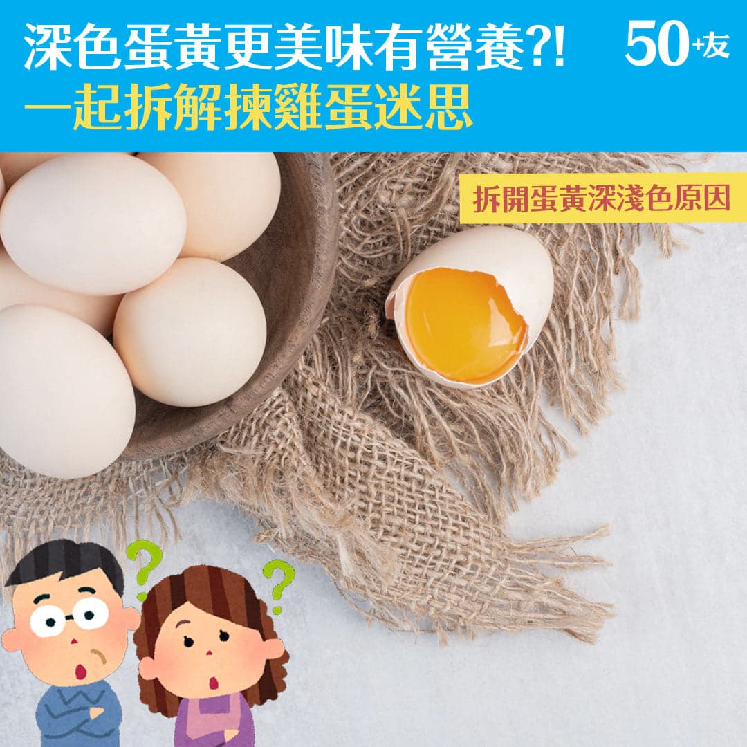 深色雞蛋黃更美味有營養?! 一起拆解揀雞蛋迷思