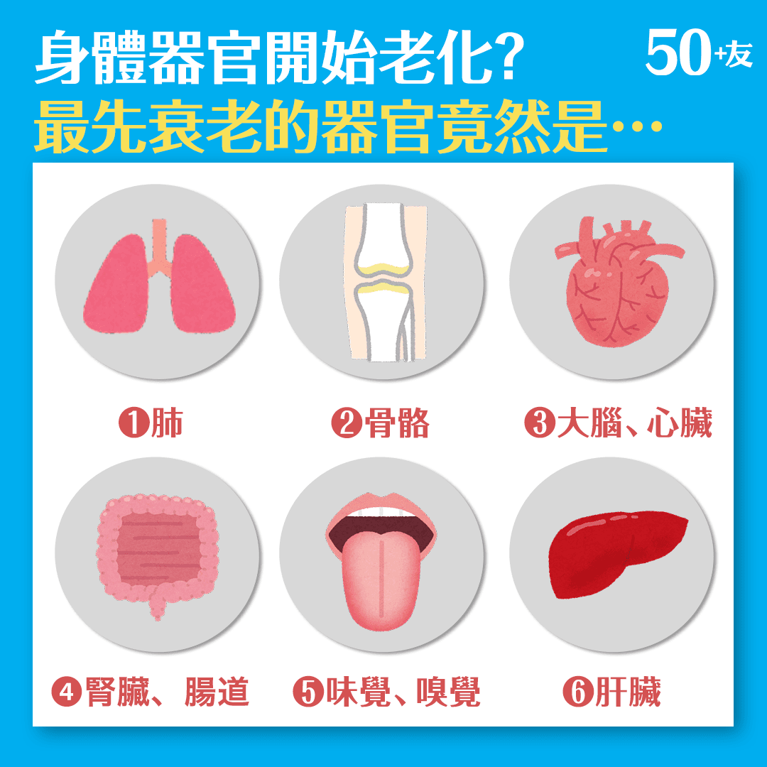 身體器官開始老化？ 最先衰老的器官竟然是…