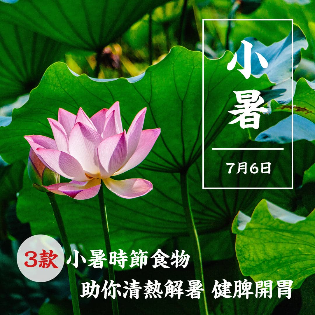 3款小暑時節食物，助你清熱解暑、健脾開胃！