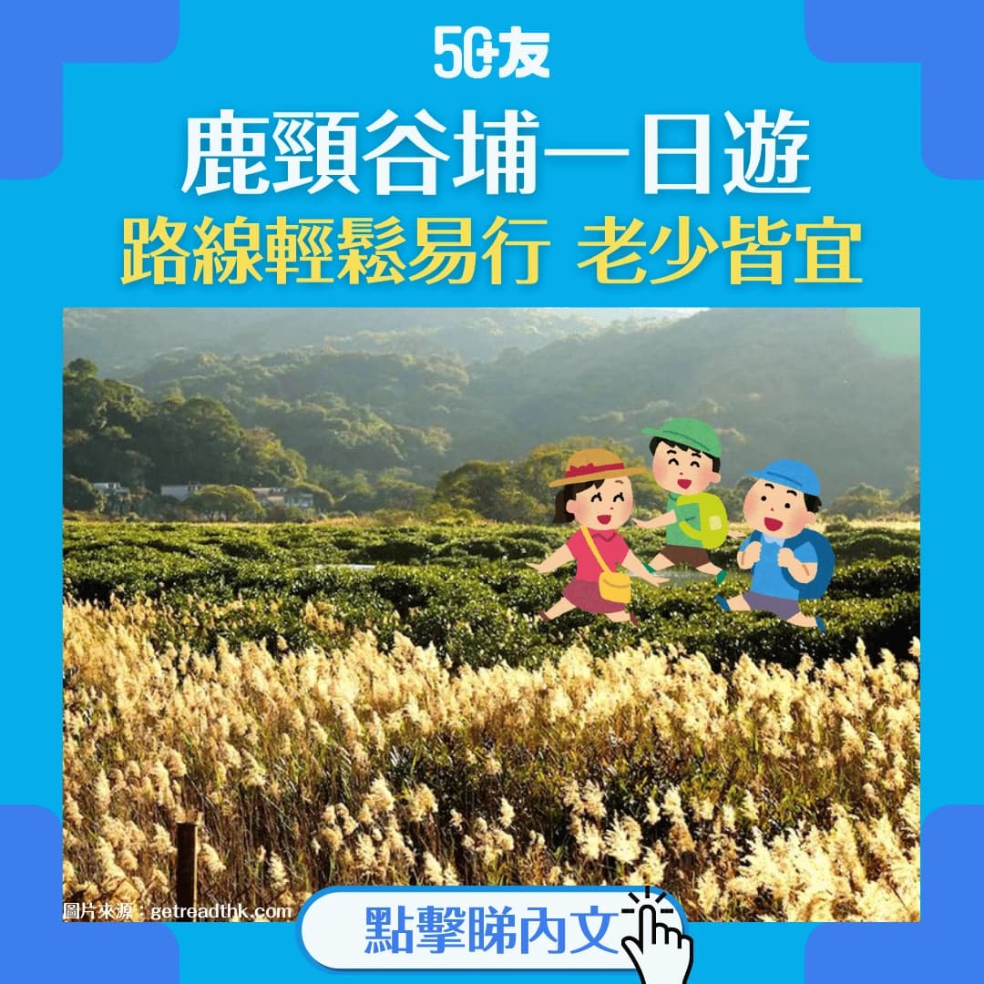 【鹿頸谷埔一日遊】2小時簡易行山路線，交通美食全攻略