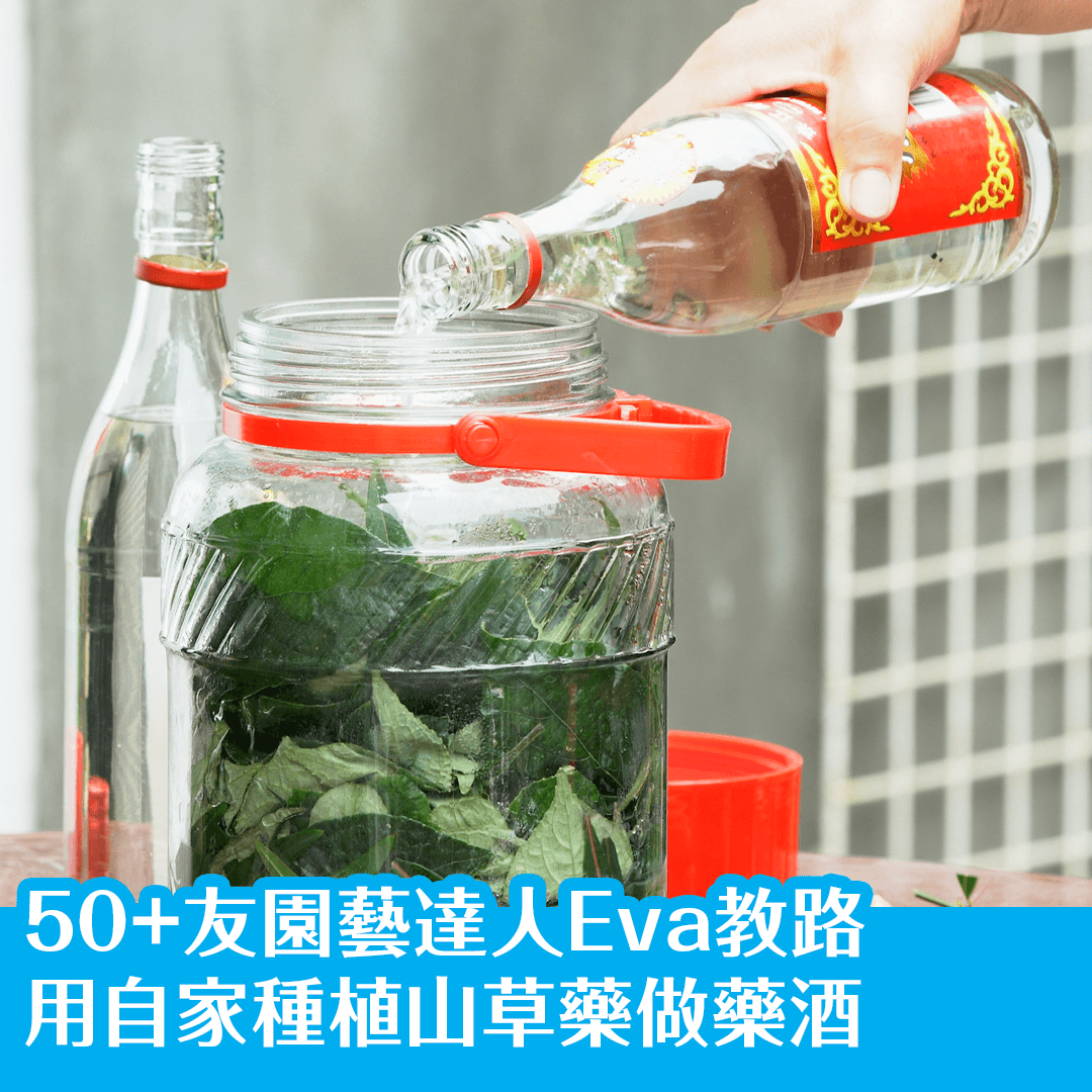 用自家種植山草藥做藥酒