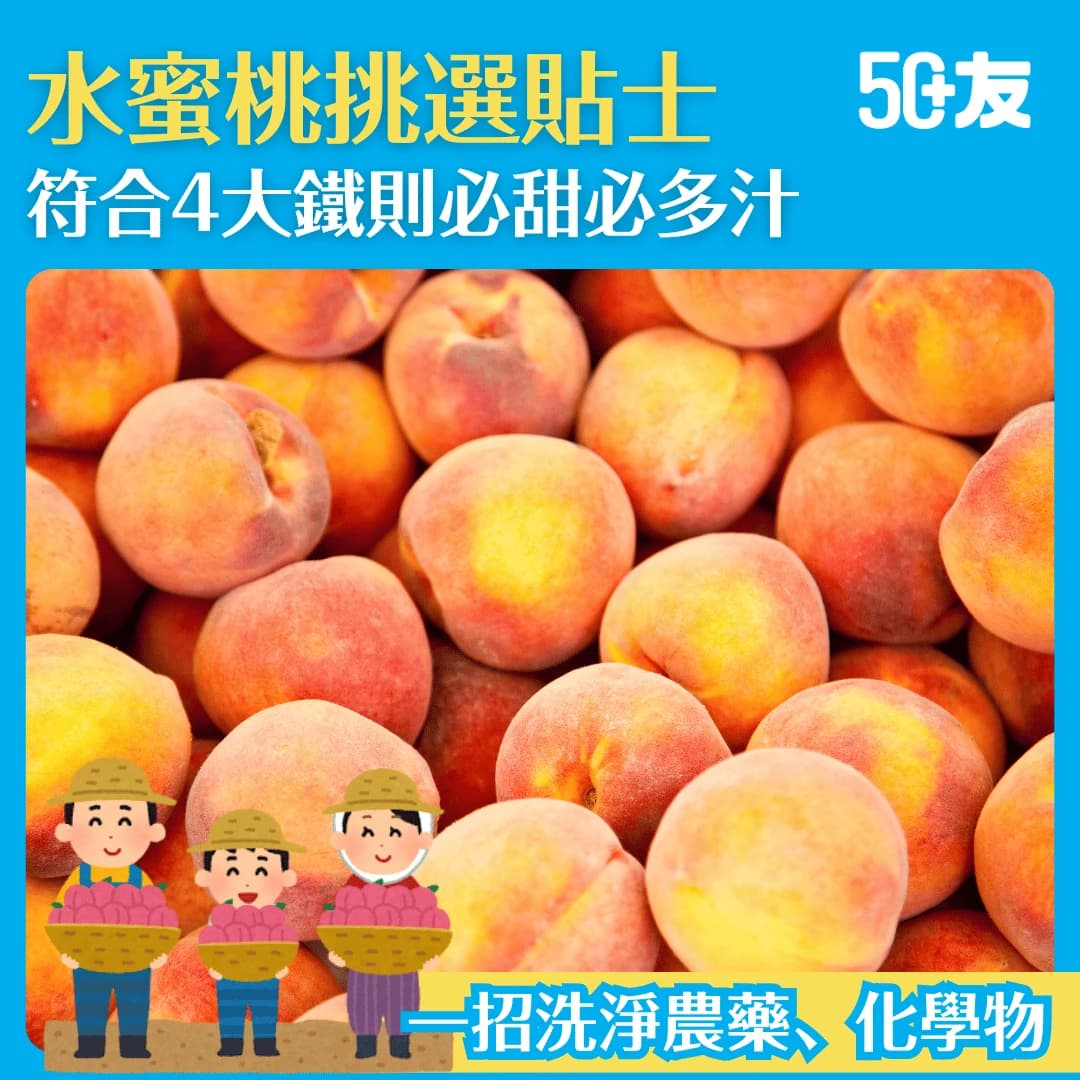 【揀水蜜桃貼士】香甜多汁水蜜桃點樣揀？4大貼士教你輕鬆選購！還有營養資訊同清洗秘訣！