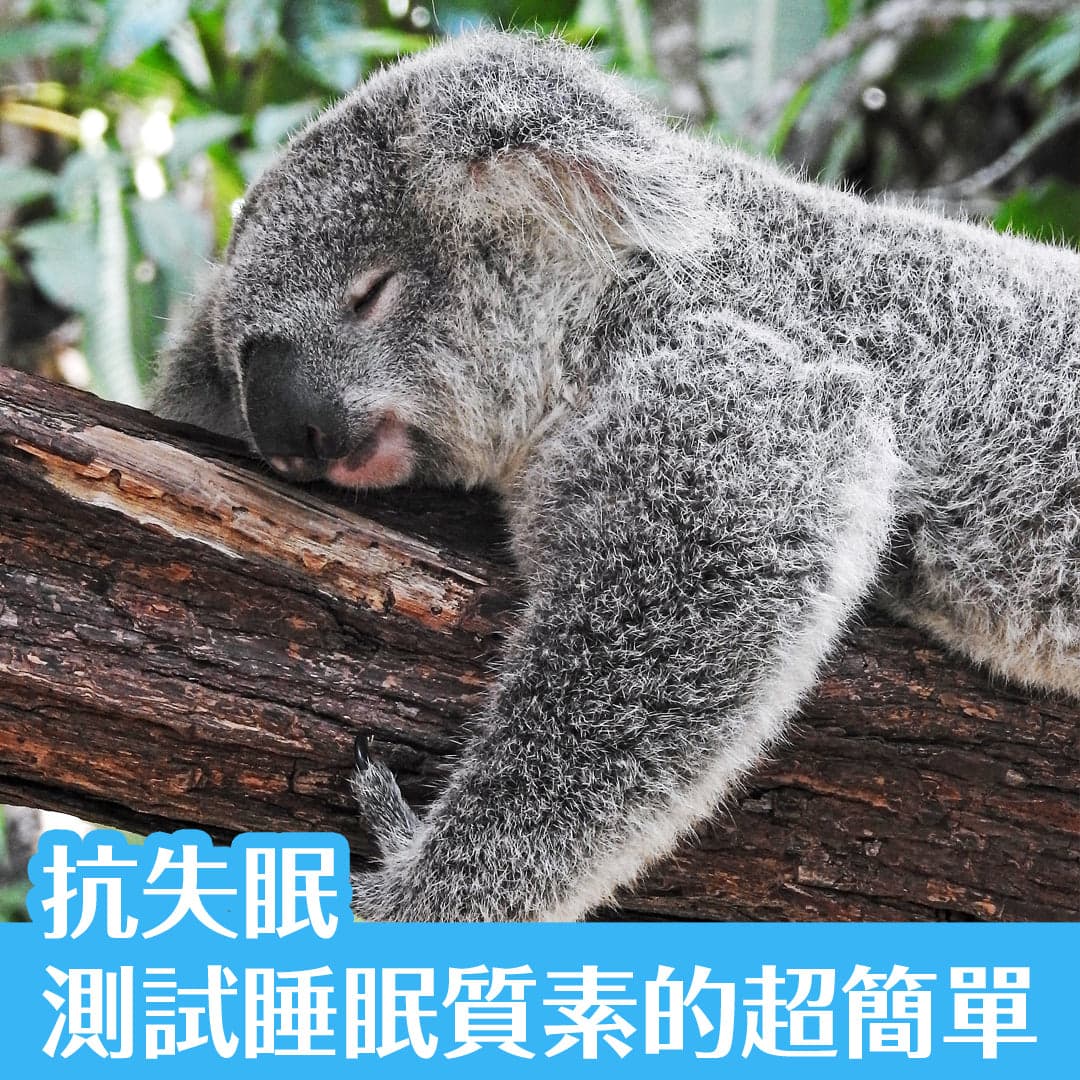 抗失眠，測試睡眠質素的超簡單方法！