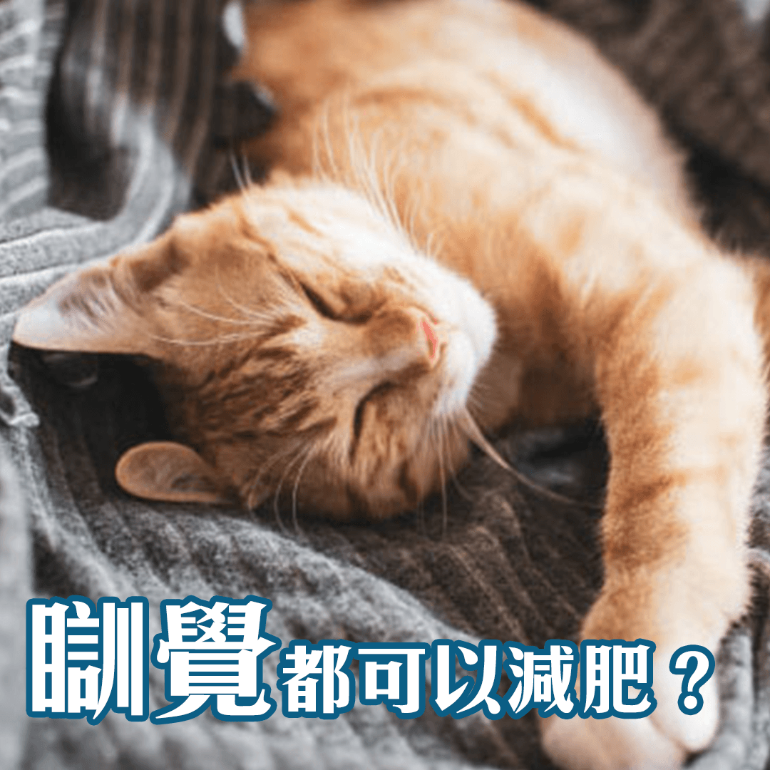 靠睡覺就能減肥？用「337睡眠法」邊睡邊瘦身！