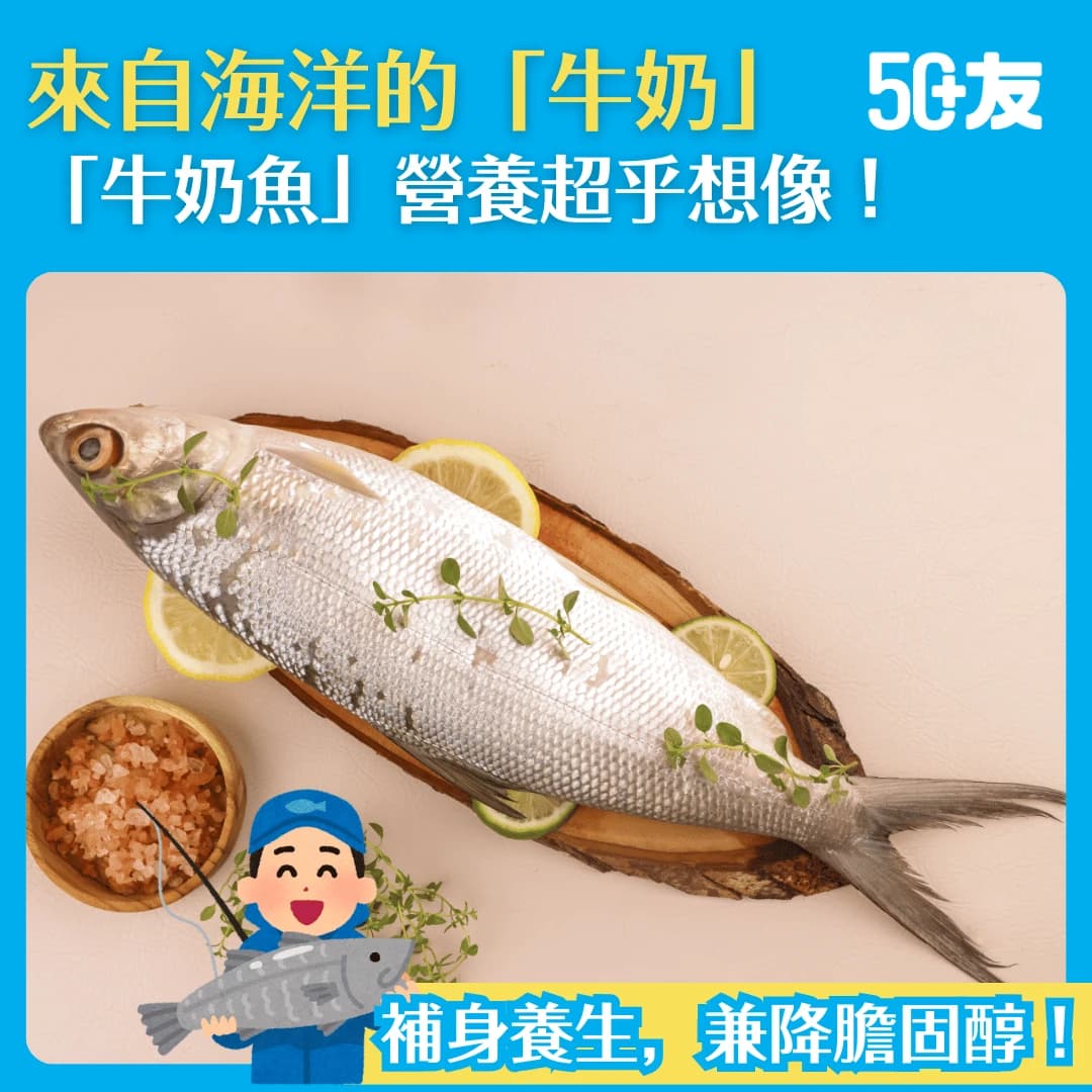 【你聽過「牛奶魚」嗎？】可以補身養生降膽固醇！