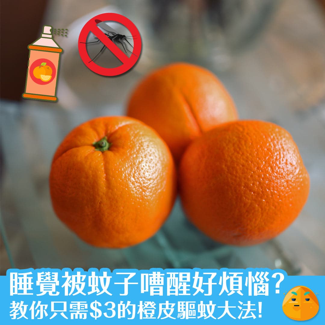 睡覺被蚊子嘈醒好煩惱？教你只需$3的橙皮驅蚊大法！