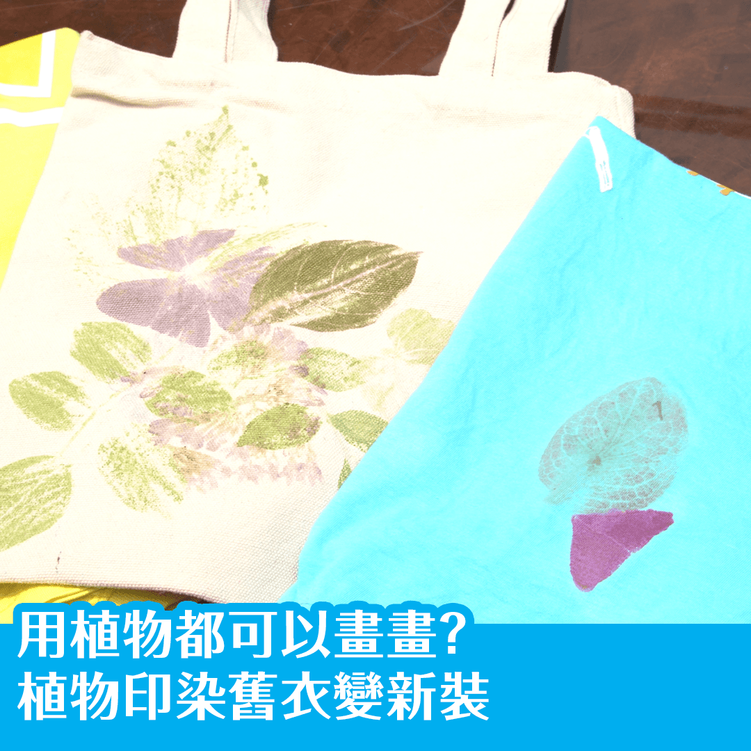 用植物都可以畫畫？植物印染舊衣變新裝
