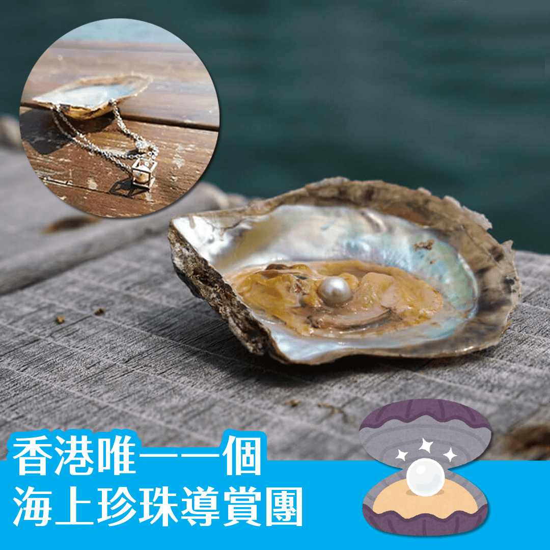 香港唯一一個 海上珍珠導賞團