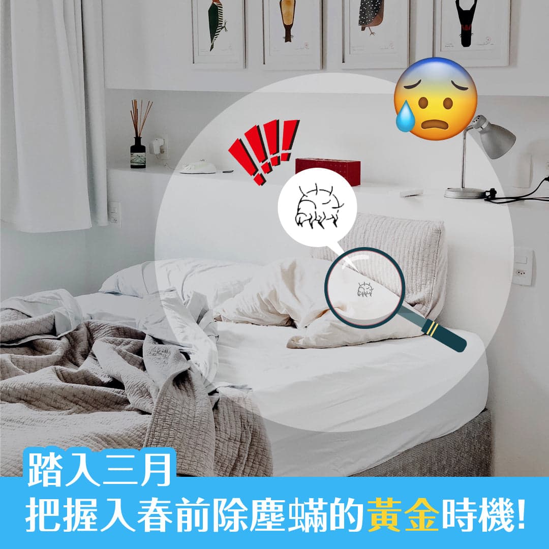 踏入三月，把握入春前除塵蟎的黃金時機！