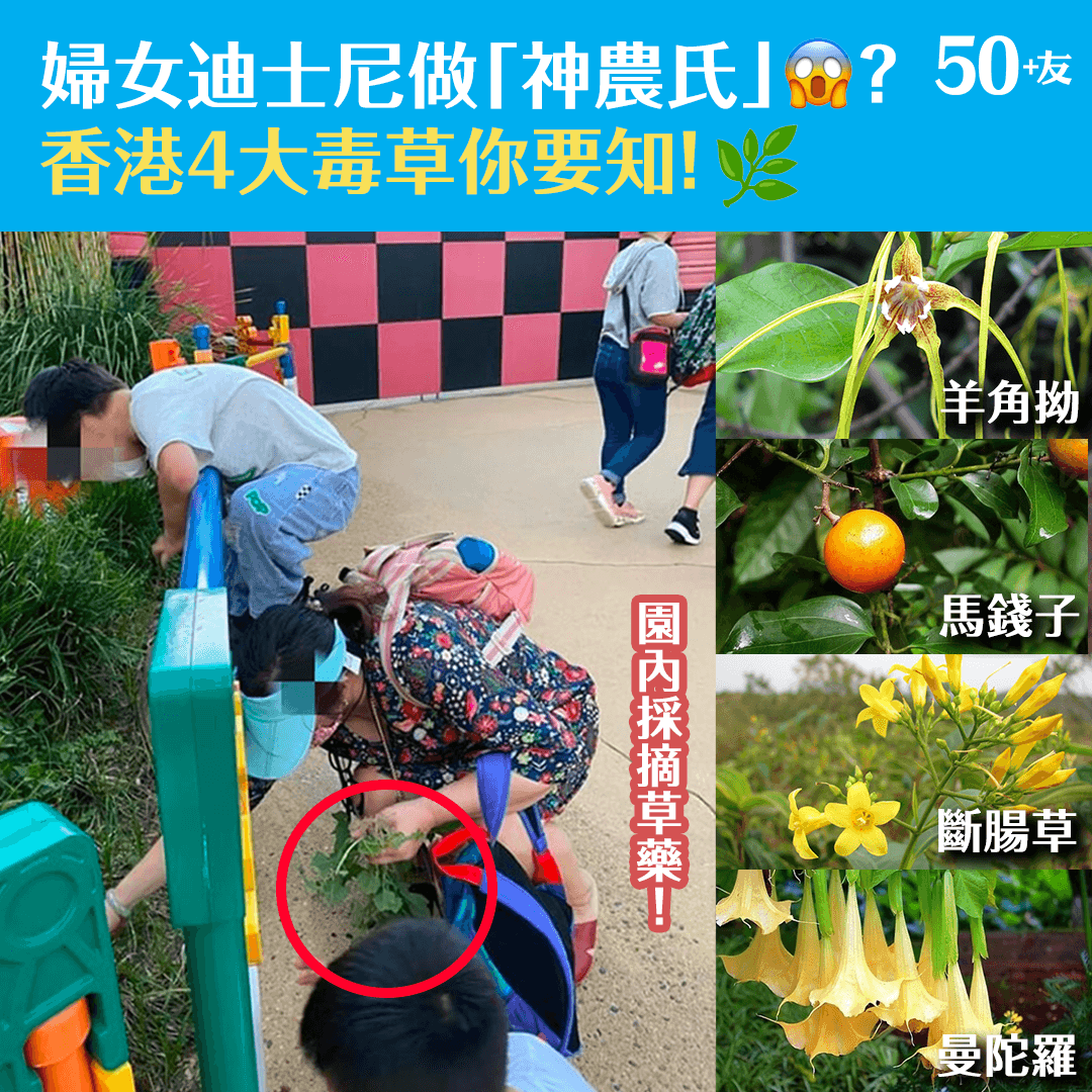 婦女迪士尼做「神農氏」？香港4大毒草你要知！